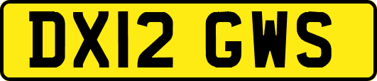 DX12GWS