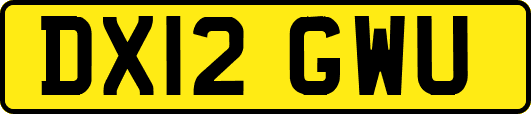 DX12GWU