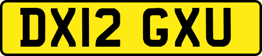 DX12GXU
