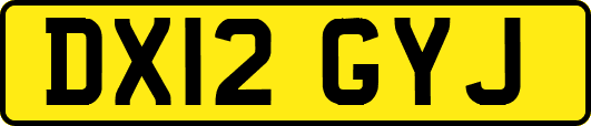 DX12GYJ