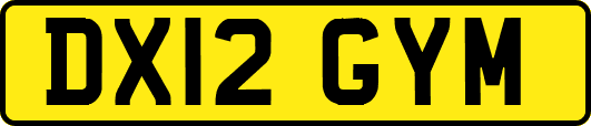 DX12GYM