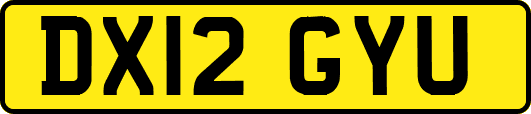 DX12GYU