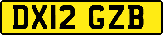 DX12GZB