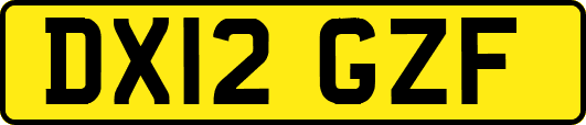 DX12GZF