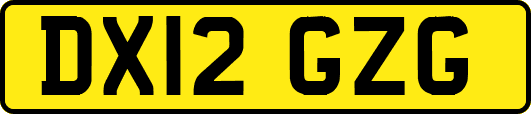 DX12GZG