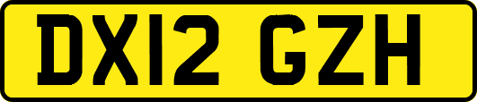 DX12GZH