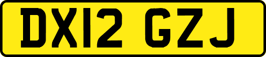 DX12GZJ