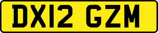 DX12GZM