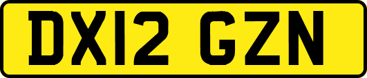 DX12GZN