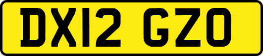 DX12GZO