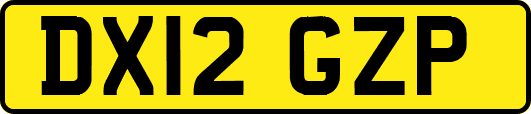 DX12GZP