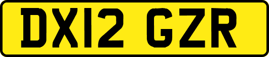 DX12GZR