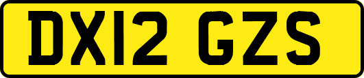 DX12GZS