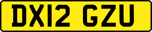 DX12GZU