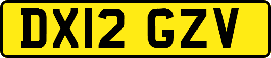 DX12GZV