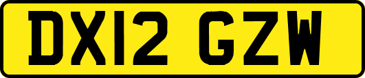 DX12GZW