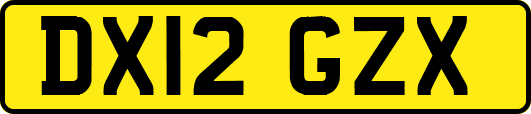 DX12GZX