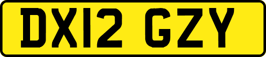 DX12GZY