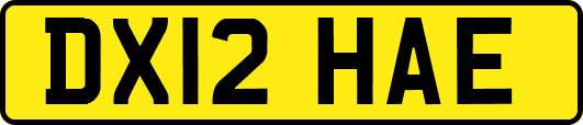 DX12HAE