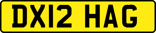 DX12HAG