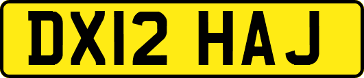DX12HAJ