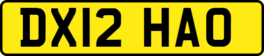 DX12HAO