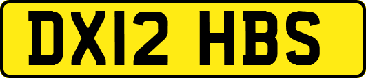 DX12HBS
