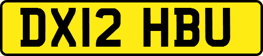 DX12HBU