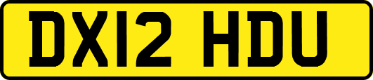 DX12HDU