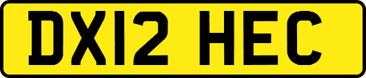 DX12HEC