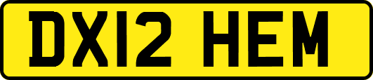 DX12HEM