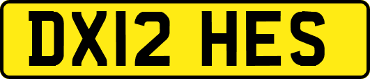 DX12HES