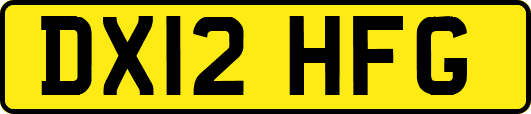 DX12HFG