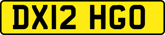 DX12HGO
