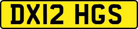 DX12HGS