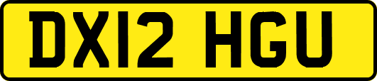 DX12HGU