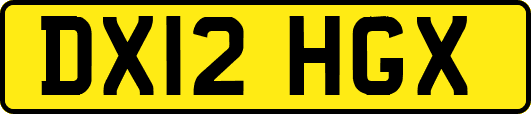 DX12HGX