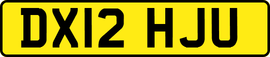 DX12HJU