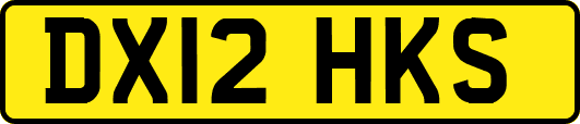 DX12HKS