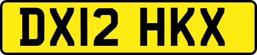 DX12HKX