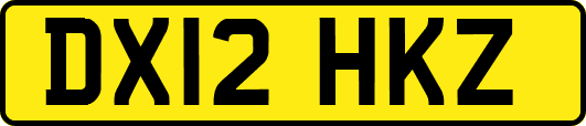 DX12HKZ