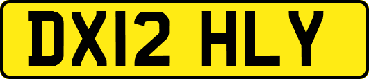 DX12HLY