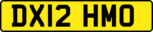DX12HMO
