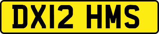 DX12HMS