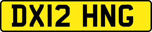 DX12HNG