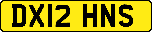 DX12HNS