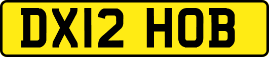 DX12HOB