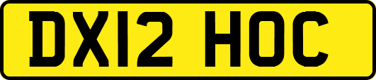DX12HOC