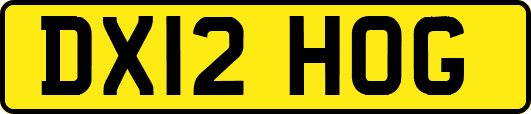 DX12HOG