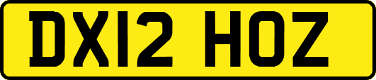 DX12HOZ